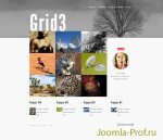 JB Grid3