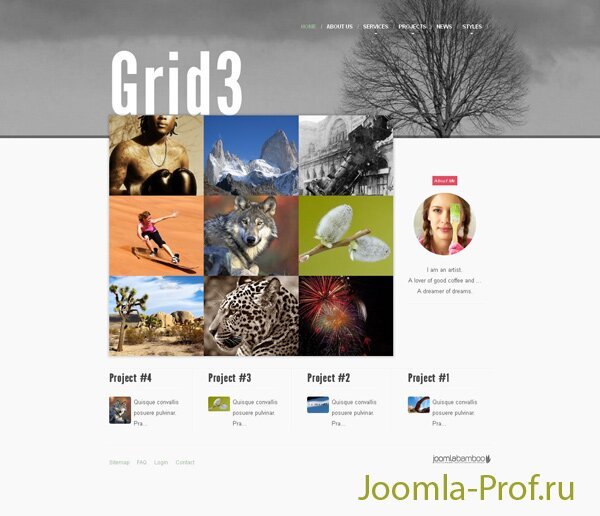 3jb-grid3 шаблон Joomla 3.0 сайт визитка, портфолио