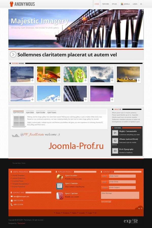 5anonymous шаблон Joomlas 2.5 бизнес визитка